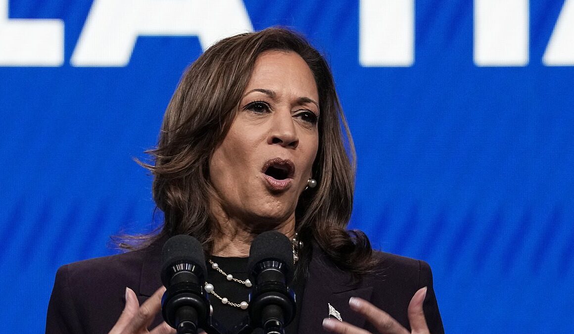 Why Democrats in key swing state Trump won in 2020 still have concerns about Kamala Harris’ chances… but are more likely to vote for her than Biden