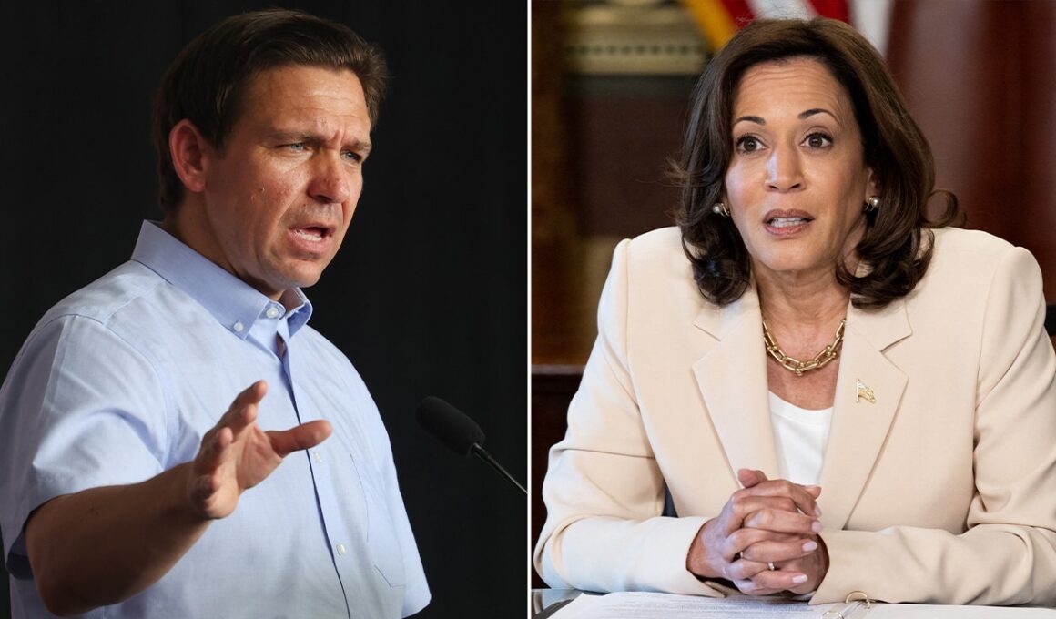 Ron DeSantis blasts mainstream media for ‘whitewashing’ Kamala Harris’ record: ‘Blizzard of lies’