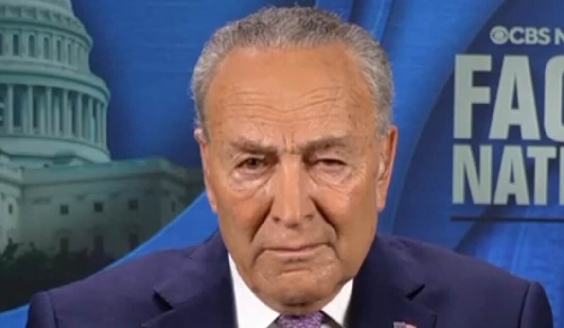 Watch Chuck Schumer’s awkward response when asked outright if he pushed Biden to QUIT