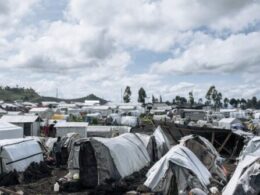 Locals regard ceasefire in eastern DR Congo with mistrust