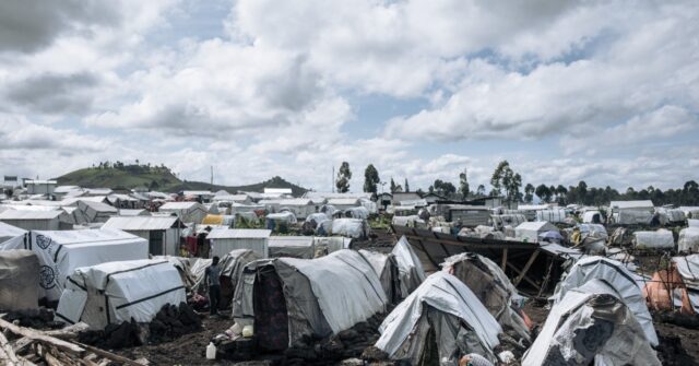 Locals regard ceasefire in eastern DR Congo with mistrust