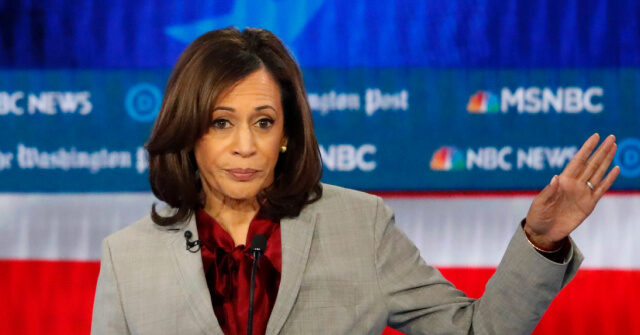 2019 Democrat Debate: Kamala Harris Pledged to Ban AR-15s Via Executive Order