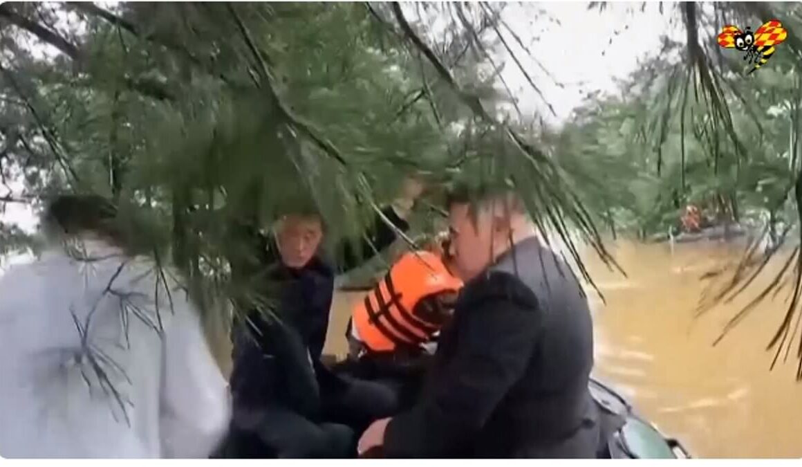 Hilarious moment Kim Jong Un heads out on a boat to survey North Korean floods… and crashes into a tree