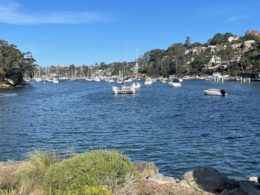 Police find two bodies on boat moored at Cammeray, Sydney Harbour