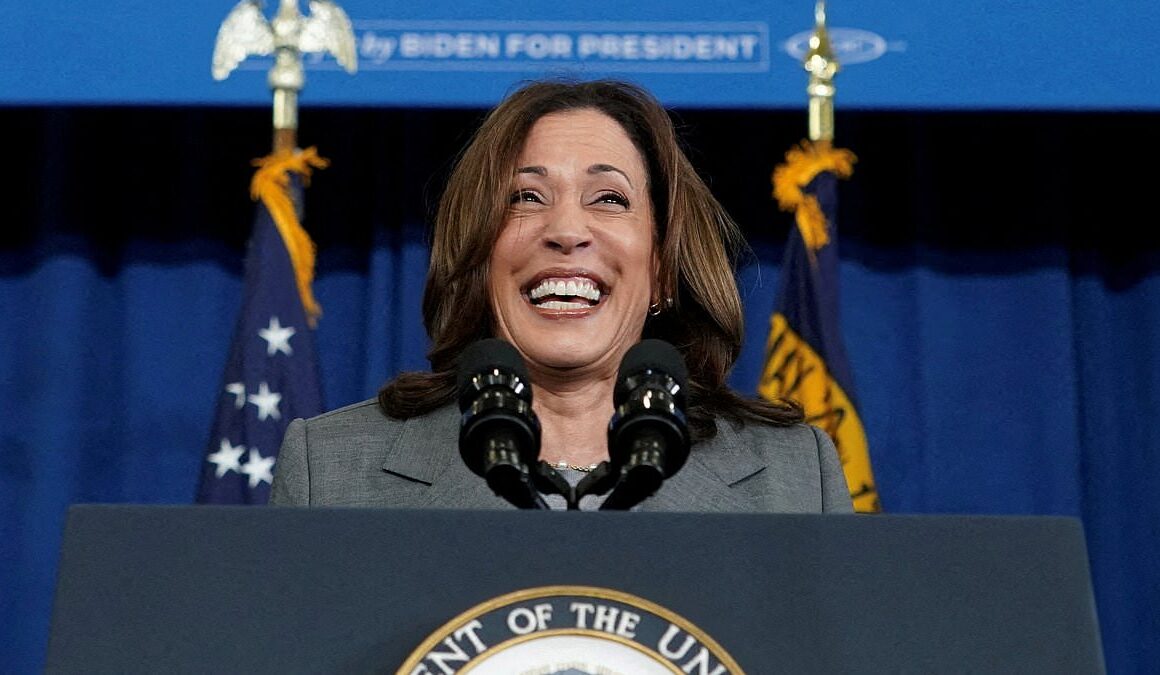 Kamala is basking in the post-Joe glow – and Trump is panicking… but now MAUREEN CALLAHAN reveals the SIX fatal secrets about Harris’s dirty past, her lies and hypocrisy that she’ll wish you didn’t know