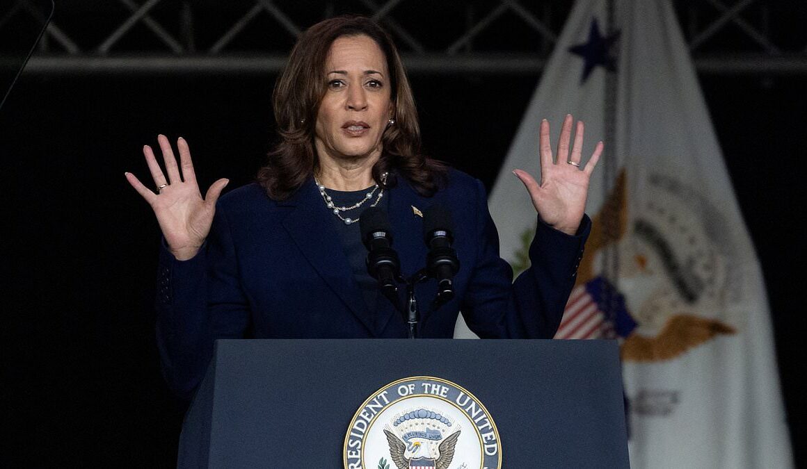 Kamala Harris responds to Trump’s shock claim he ‘didn’t know’ she was black while urging historic African American sorority to ‘fight for our future’