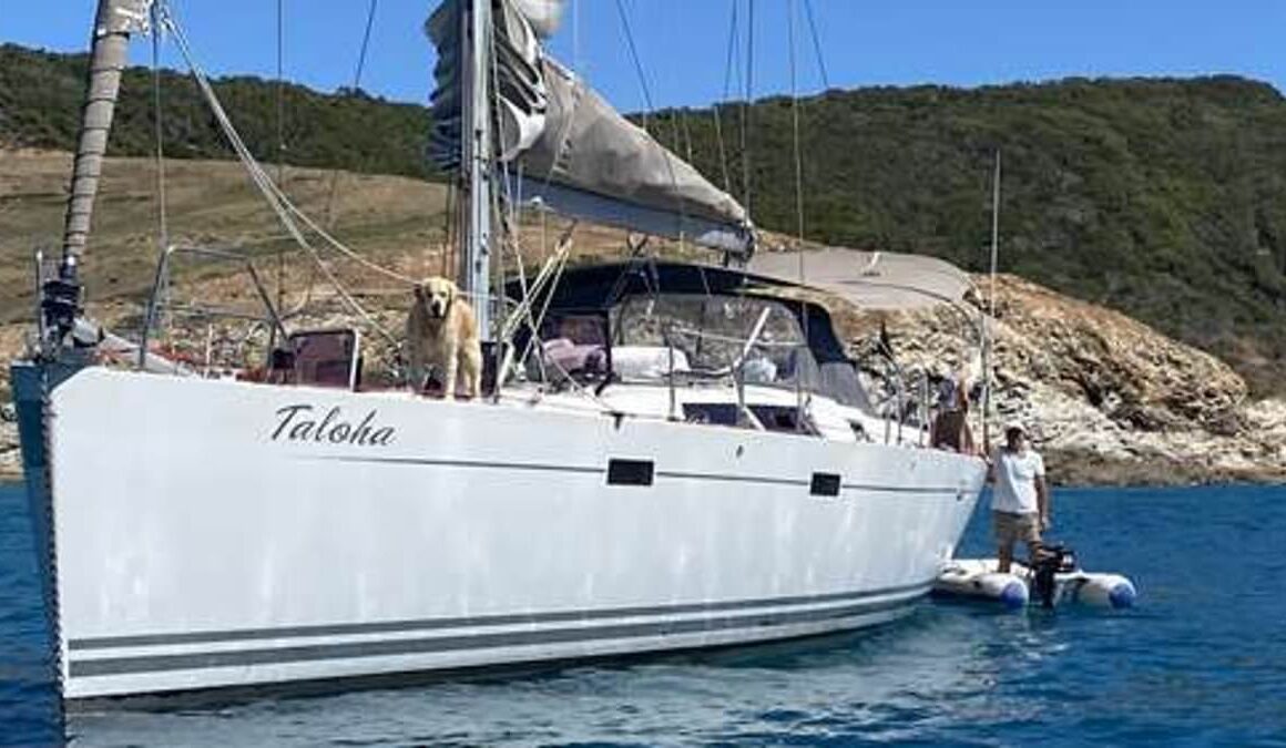 Cammeray yacht deaths: Inside the $300,000 luxury yacht where tragic couple mysteriously died on Sydney Harbour – amid fears they lay dead for days