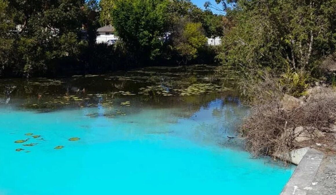 Mystery over why ‘hidden gem’ Humpybong Creek at Moreton Bay, Queensland suddenly turned electric blue – and locals are worried