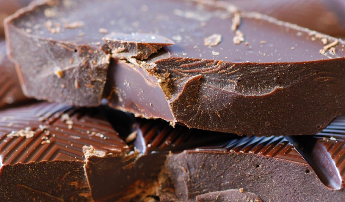 Scientists Found Heavy Metals Like Lead In Many Chocolate Bars. Should Consumers Be Worried?