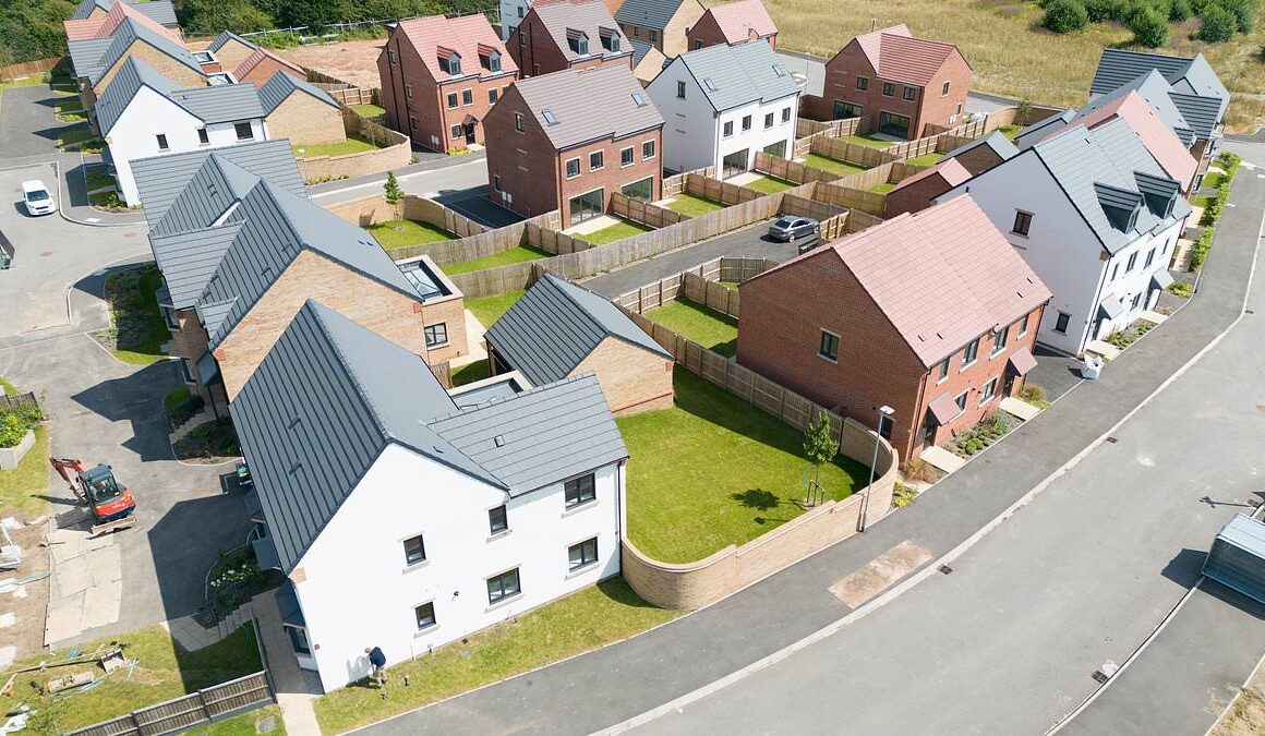 Locals left living next to ‘ghost’ housing estate which has been empty for nine months after the developer went bust plead for it to be finished after it was taken over by deer and foxes in ‘Last of Us-like’ scenes