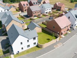 Locals left living next to ‘ghost’ housing estate which has been empty for nine months after the developer went bust plead for it to be finished after it was taken over by deer and foxes in ‘Last of Us-like’ scenes