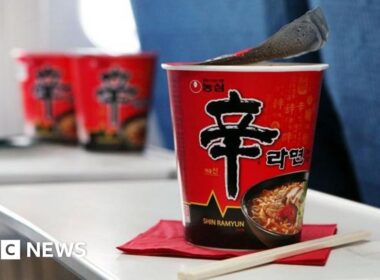 Turbulence takes instant noodles off Korean Air menu