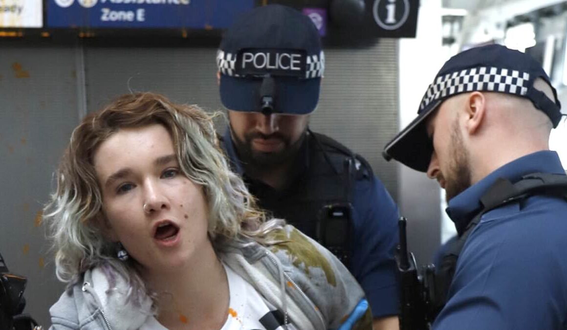 Just Stop Oil’s poster girl Phoebe Plummer is held in custody after inflicting ‘£50,000’ damage in Heathrow Airport stunt – after being told she faces jail for throwing soup over Van Gogh Sunflowers painting