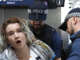 Just Stop Oil’s poster girl Phoebe Plummer is held in custody after inflicting ‘£50,000’ damage in Heathrow Airport stunt – after being told she faces jail for throwing soup over Van Gogh Sunflowers painting