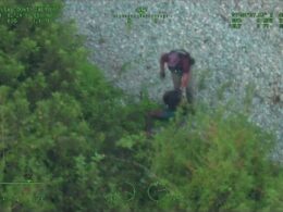 Shocking footage shows suspect on the run for SIX HOURS as he swam through alligator infested waters and lurked in snake-filled mangroves