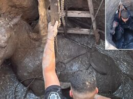 Moment horse trapped in well covered in feces and mud is rescued