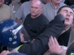 Moment police officer punches protester repeatedly in the face as Met snatch squad moves in at London demos where 111 were arrested