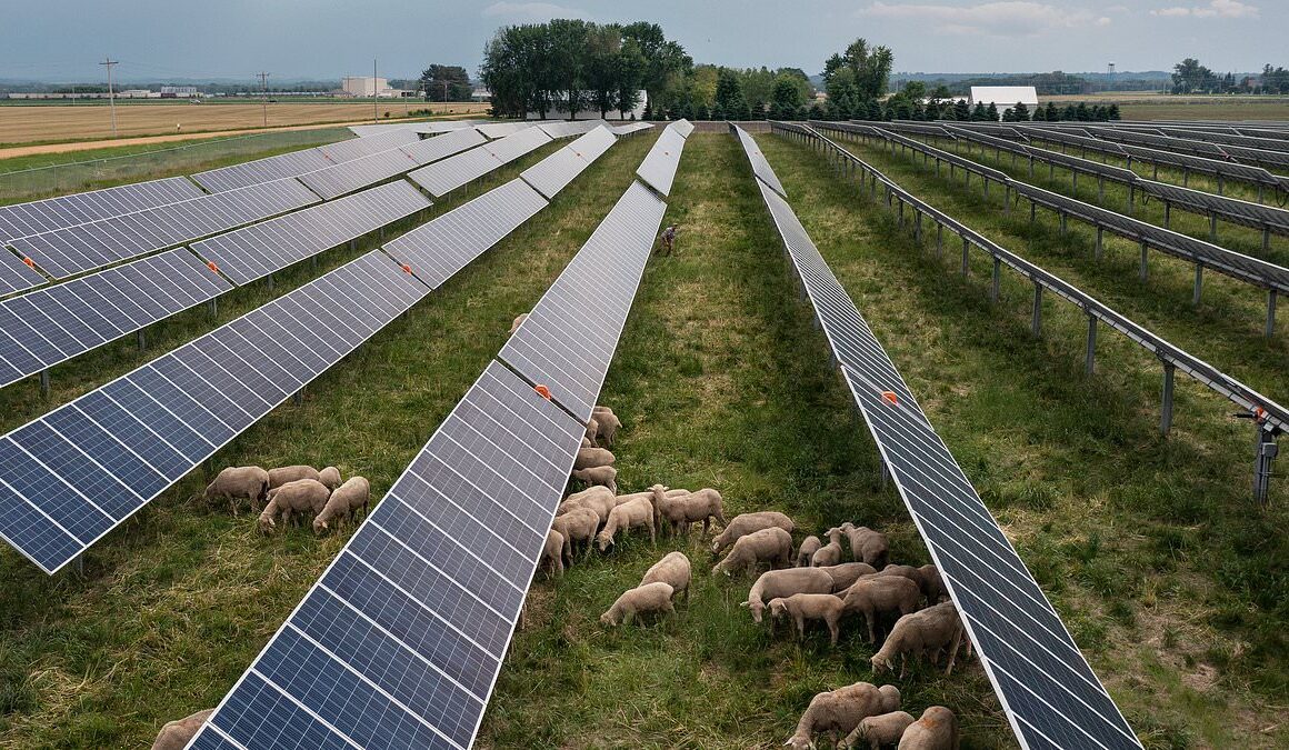 Clean energy, foul atmosphere: How a $130B renewables industry makes enemies of Midwestern farmers