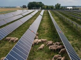 Clean energy, foul atmosphere: How a $130B renewables industry makes enemies of Midwestern farmers