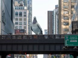 Why there’s a 16ft pigeon sitting on top of iconic New York City tourist site