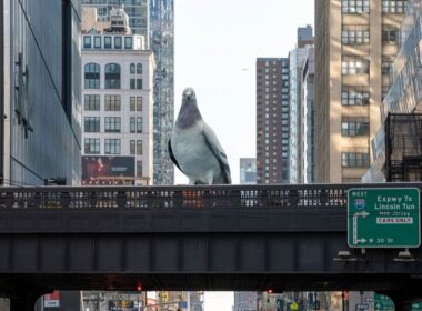 Why there’s a 16ft pigeon sitting on top of iconic New York City tourist site