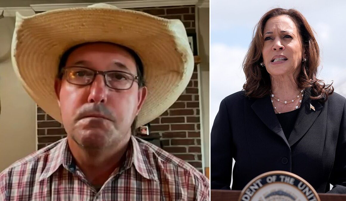 Blue-collar worker reveals exactly what he thinks of Kamala Harris and how her presidency would impact him