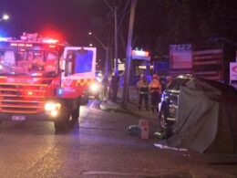 Peakhurst crash: Woman is killed after being hit by a 4WD in Sydney