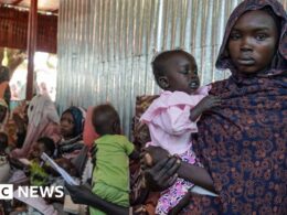 Big Sudan camp pushed into famine – experts