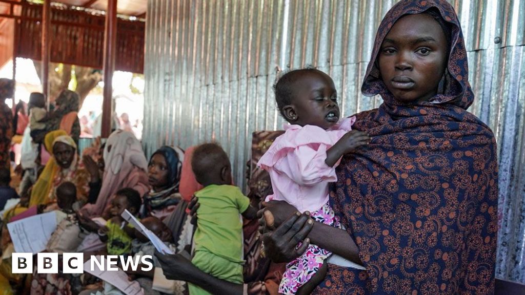 Big Sudan camp pushed into famine – experts