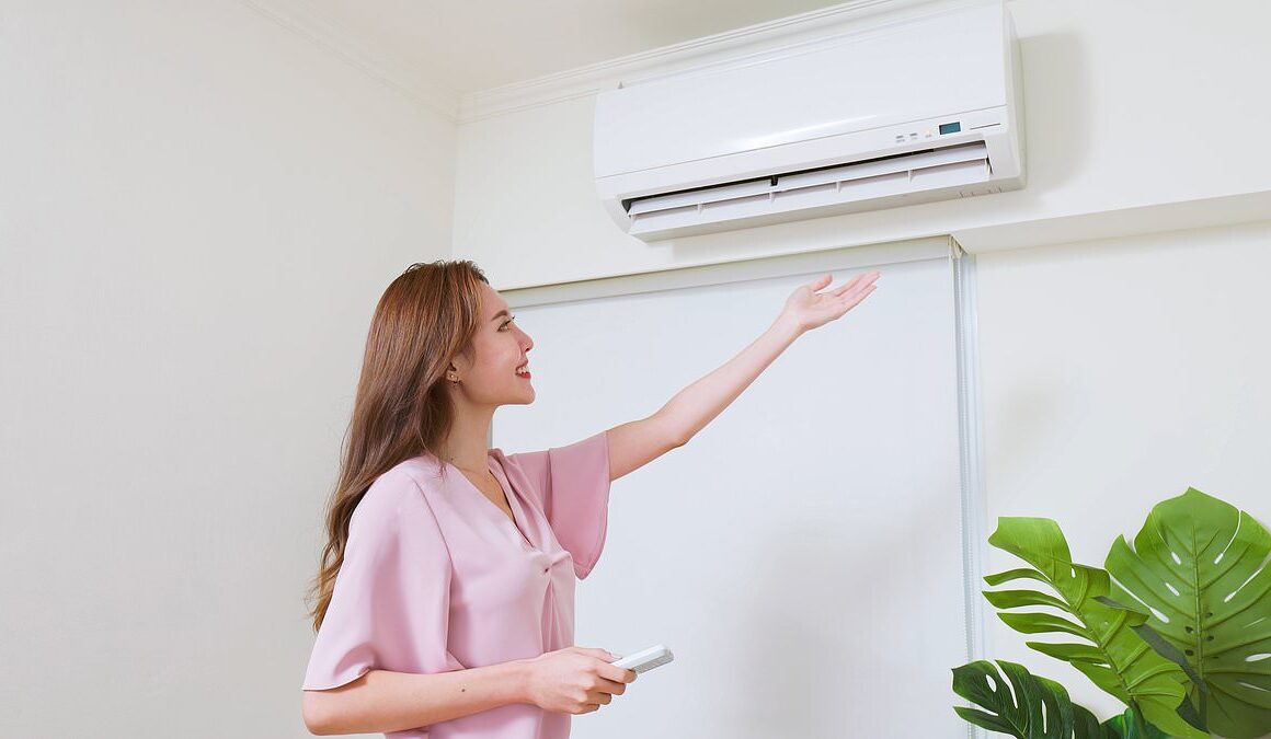 Estate agents see huge increase in demand for homes with air conditioning as temperatures in Britain soar