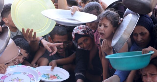 Gaza food blogger serves ‘hope on a plate’ to war-weary kids