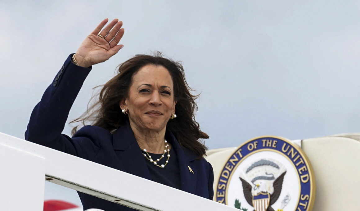 US Polling ‘Nostradamus’ Reveals Who He Thinks Harris Should Pick as VP