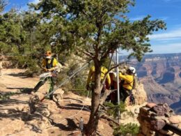 BASE jumper dies in jump at Grand Canyon