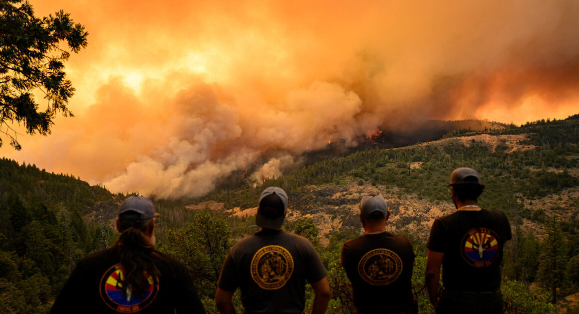 Wildfire smoke is probably harming your brain