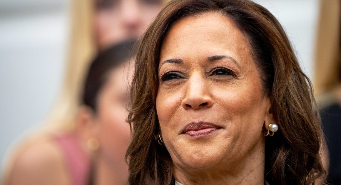 Election 2024: A majority of delegates have voted to nominate Harris, DNC chair announces