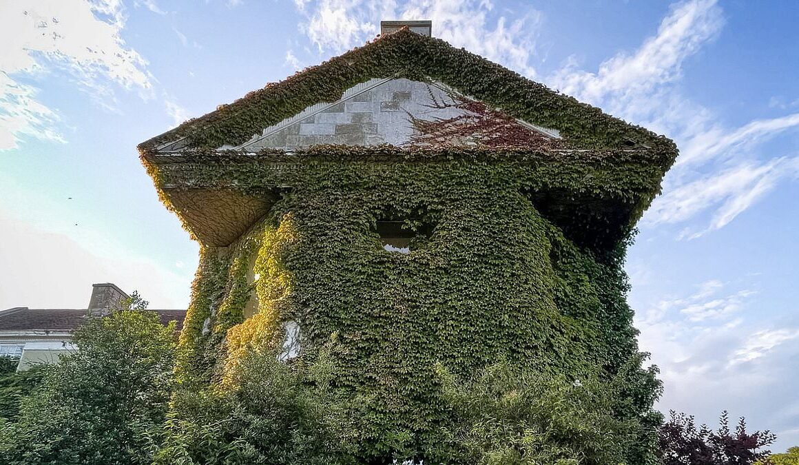 Eerie photos show abandoned ‘haunted’ Isle of Wight hotel in advanced state of decay with black mould growing on the ceilings and ivy crawling up the walls – despite new owners claiming a renovation is on the cards