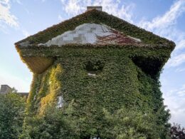 Eerie photos show abandoned ‘haunted’ Isle of Wight hotel in advanced state of decay with black mould growing on the ceilings and ivy crawling up the walls – despite new owners claiming a renovation is on the cards