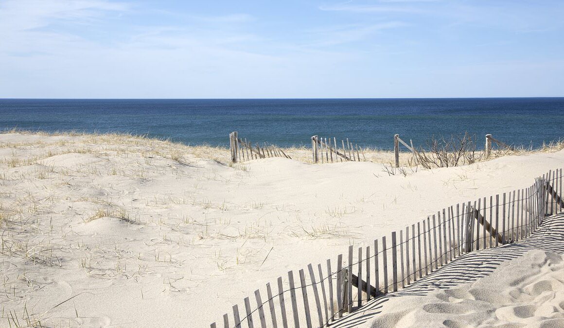 Wave of popular beaches across East Coast state are abruptly shut down after grim discovery