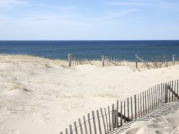 Wave of popular beaches across East Coast state are abruptly shut down after grim discovery