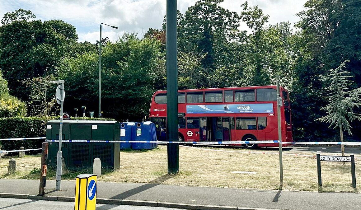 Girl, 9, is fighting for her life after London bus slams into her and her five-year-old brother – as both children are rushed to hospital