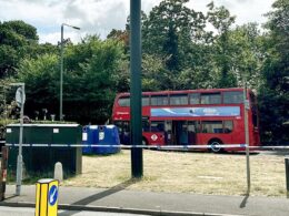 Girl, 9, is fighting for her life after London bus slams into her and her five-year-old brother – as both children are rushed to hospital