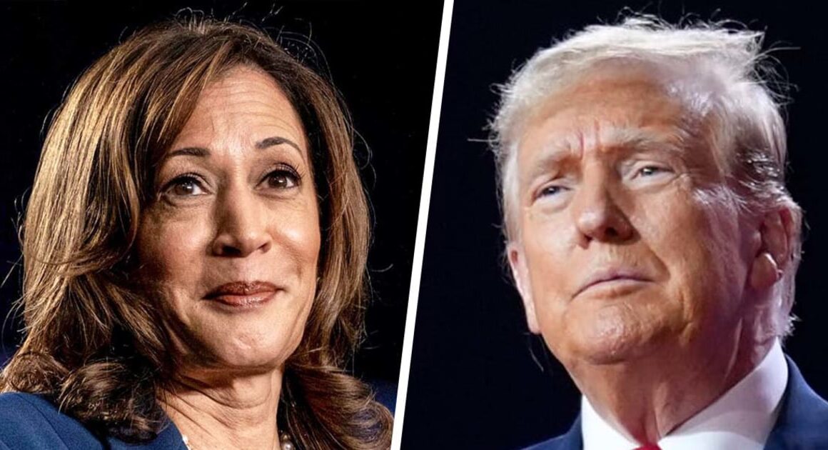 Trump struggles to keep his edge against Harris with fewer than 100 days until the election