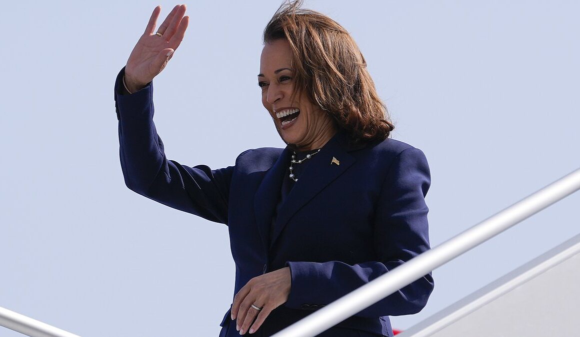 Famous political nepo baby ‘is secretly angling for prestigious job if Kamala Harris wins in November’