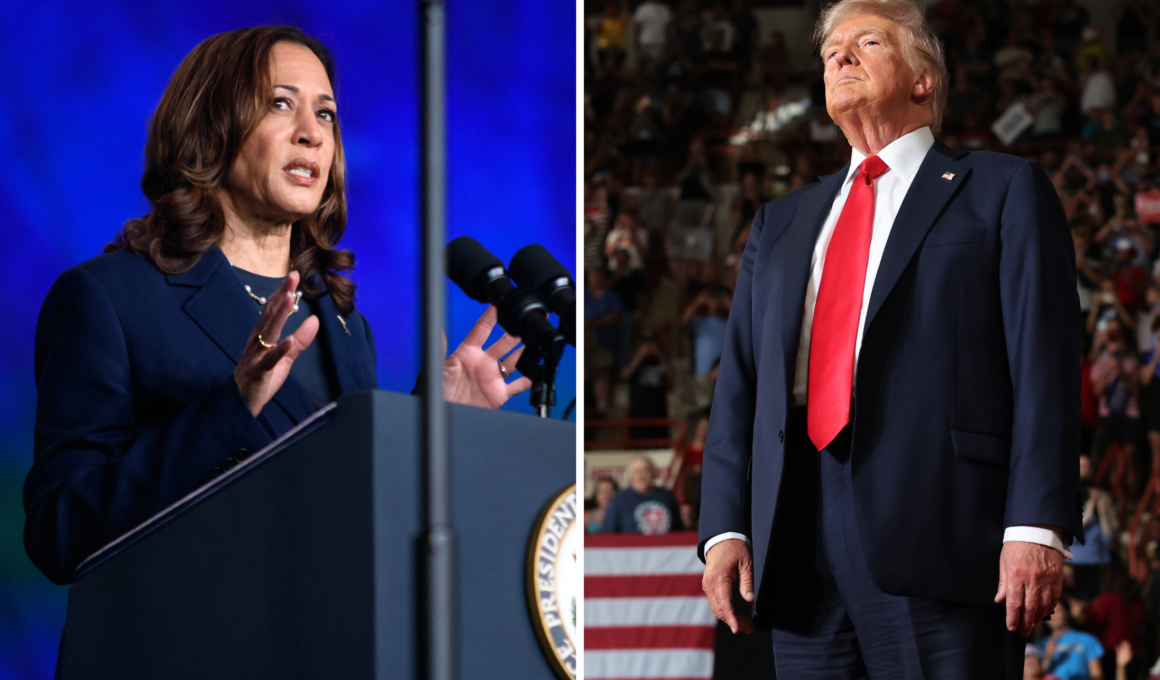 Pollster Gives Donald Trump 10-Word Question to Beat Kamala Harris