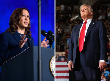 Pollster Gives Donald Trump 10-Word Question to Beat Kamala Harris