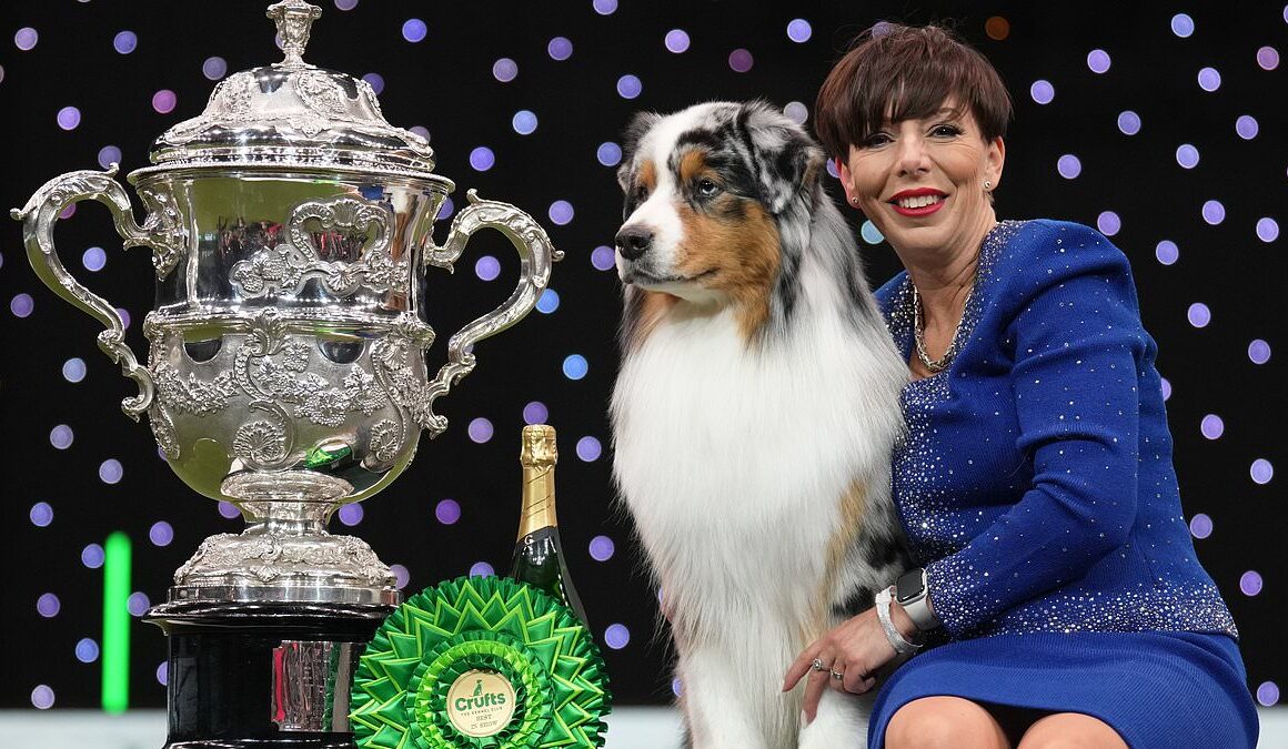 A real dog’s dinner: Crufts is plunged into crisis as a botched IT upgrade forces the Royal Kennel Club to sack staff