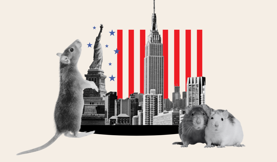 Map Reveals New York’s Worst Rat Infested Areas