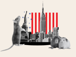 Map Reveals New York’s Worst Rat Infested Areas