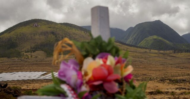 ‘We’re going to survive and it’s going to come back’: A year after Maui wildfire, survivors press on