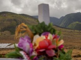 ‘We’re going to survive and it’s going to come back’: A year after Maui wildfire, survivors press on